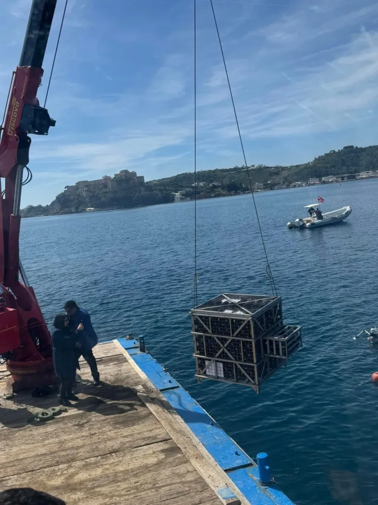 L’immersione in mare dell’Asprinio di Aversa
