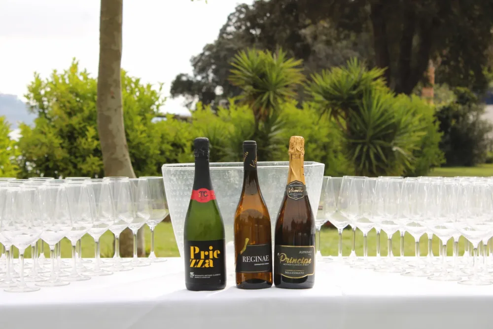 Asprinio Metodo Classico e Asprinio Fermo