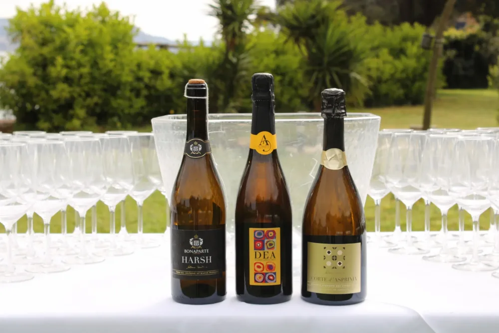 Asprinio Metodo Martinotti e Asprinio Frizzante