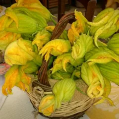 Il raccolto dell'orto del Casale