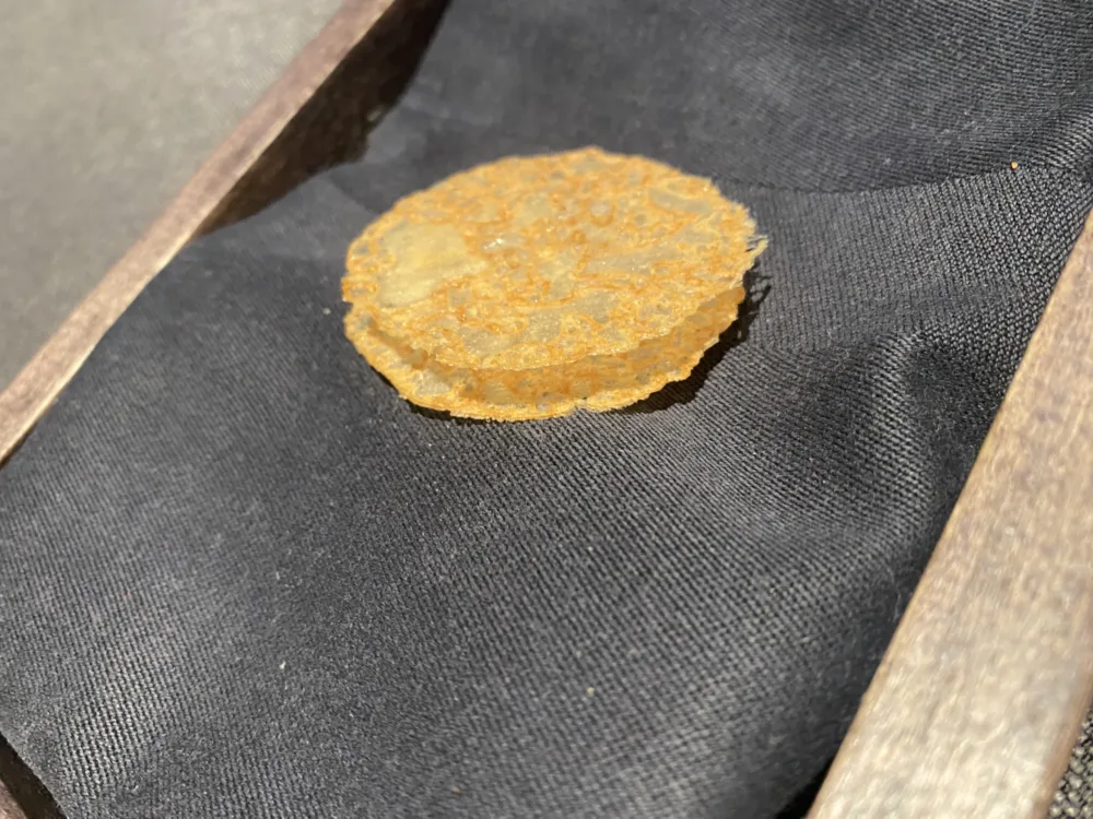 Magorabin -amuse bouche-chicken