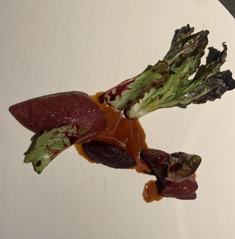 Magorabin - piccione, truset, barbabietola