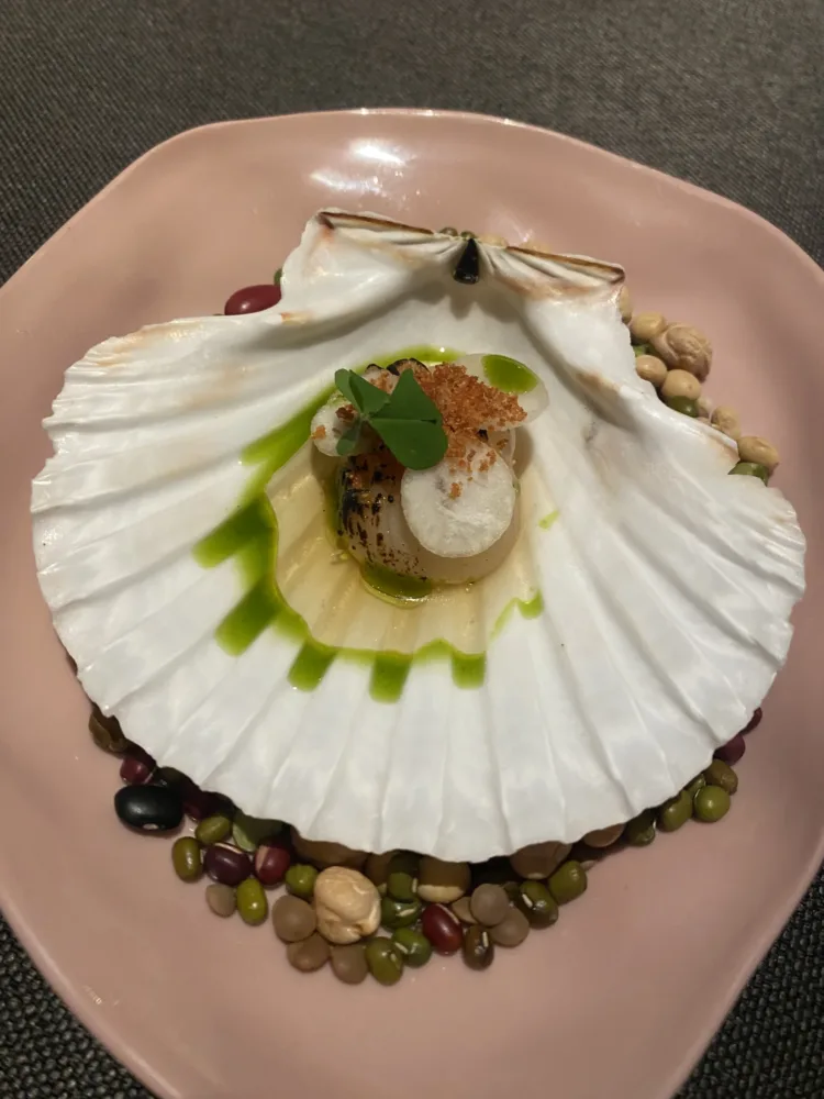 Magroabin - capanegra