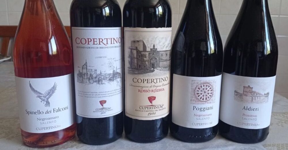 Vini Cupertinum - Nuove annate