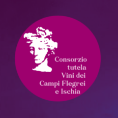 Vitivinicoltura e Sviluppo, il convegno del Consorzio Tutela dei Vini Campi Flegrei e Ischia
