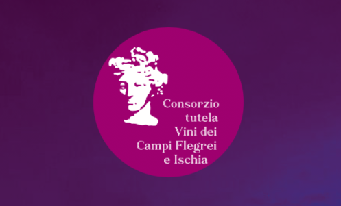 Vitivinicoltura e Sviluppo, il convegno del Consorzio Tutela dei Vini Campi Flegrei e Ischia