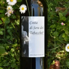 Colline Novaresi Bianco Costa di Sera dei Tabacchei 2021 Alfonso Rinaldi