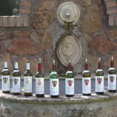 Fiorano Rosso 1988 Tenuta di Fiorano