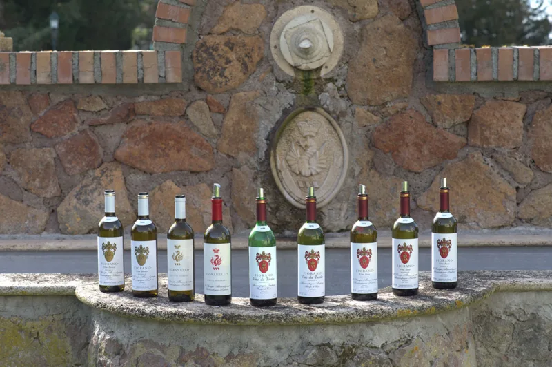 Fiorano Rosso 1988 Tenuta di Fiorano