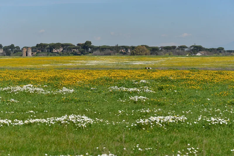 Tenuta di Fiorano