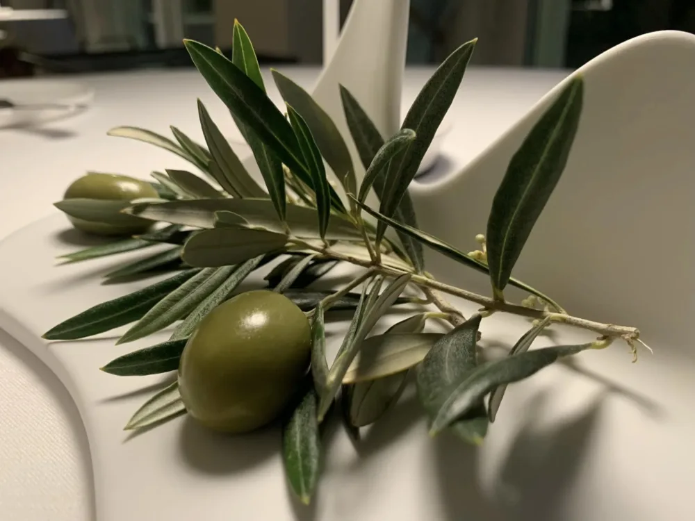 Zest Restaurant, Hotel La favorita, aperitivo, dettaglio