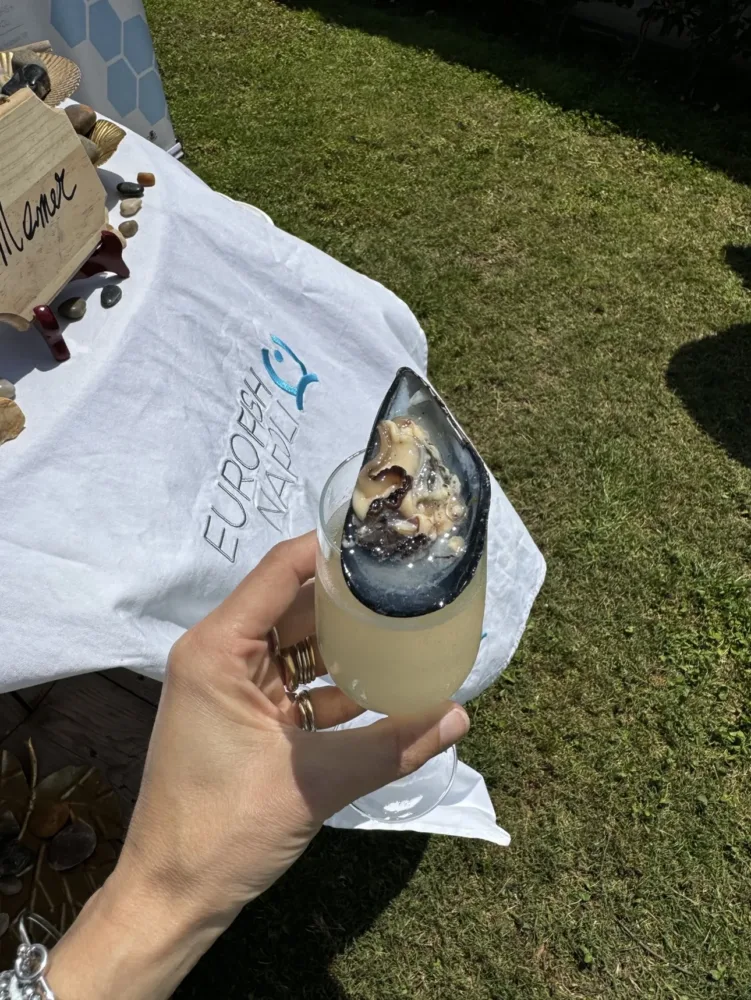 Mytilus Fest-Drink Mytilus Officia Meccanica Generale