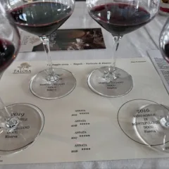 Talosa- Verticale 2019-2016