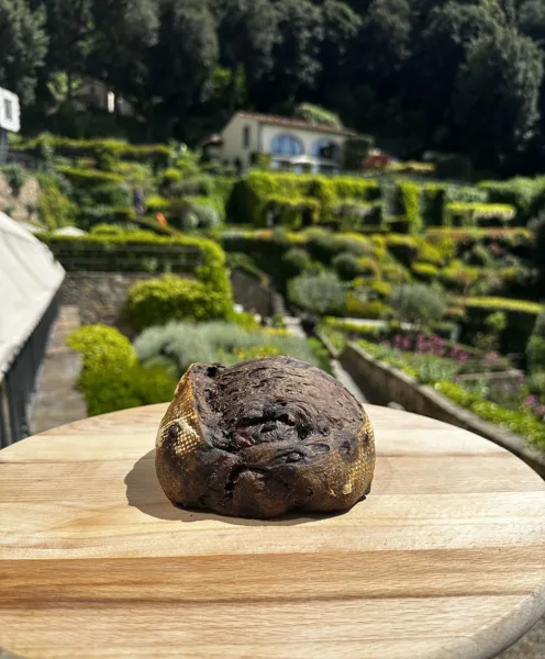 Pane con cacao amaro, albicocche, cioccolato, carote e spezie toscane - Gianluca Carbone