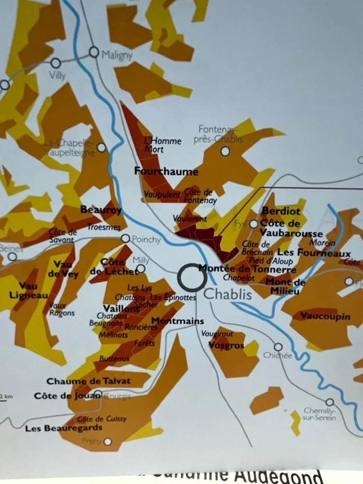 Degustazione chablis - Il terroir