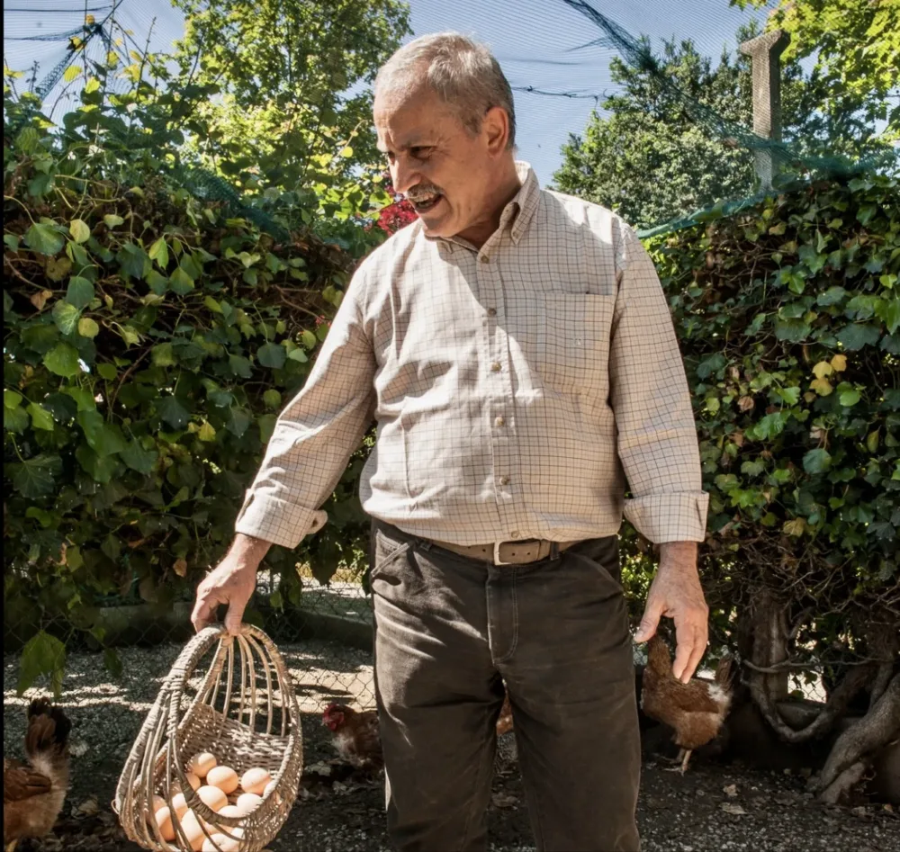 …aspetto che il buon Giorgio…