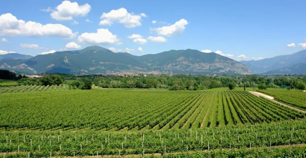 Franciacorta il Territorio
