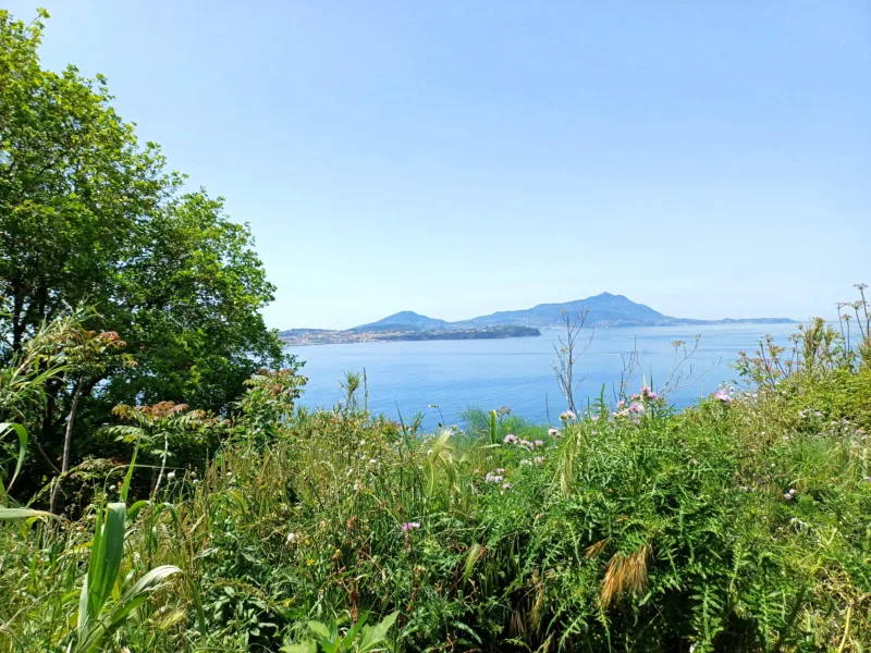 Panorama da Cantine del Mare