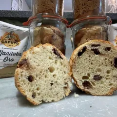 Tra pane e briosche (in vaso cottura) di Gianmarco Ferrandi