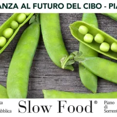 La locandina del Mercato della Terra Slow Food a Piano di Sorrento