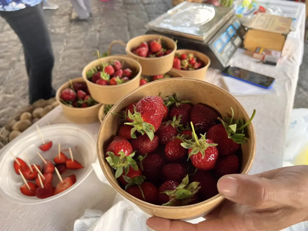 Le fragole di stagione al Mercato della Terra