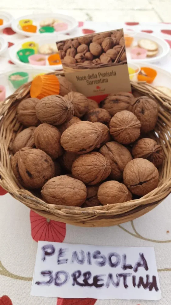 Le noci della penisola sorrentina Mercato della Terra