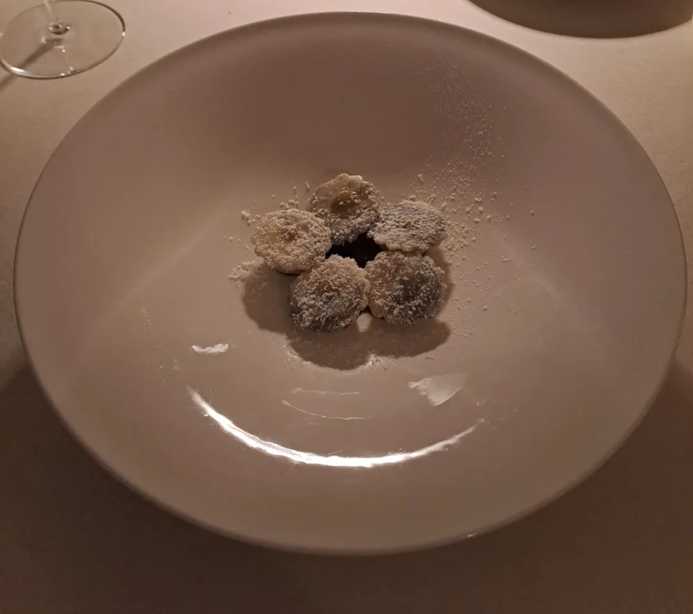 Villa Fiorella Art Hotel - Seppia