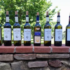 Verticale Vernaccia di San Gimignano Riserva Mareterra 2019-2013 Casa Lucii