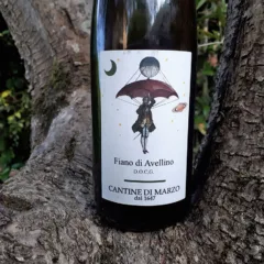 Fiano di Avellino 2020 Cantine Di Marzo