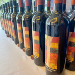 Foglio 38, vent'anni di Cabernet Franc