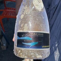 Lo spumante di Lucia Monti