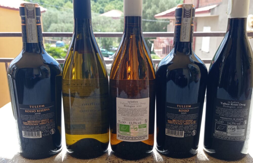 Controetichette vini Feudo Antico