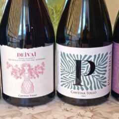Vini Canttina Tollo