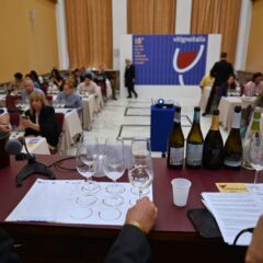 Vitignoitalia Masterclass