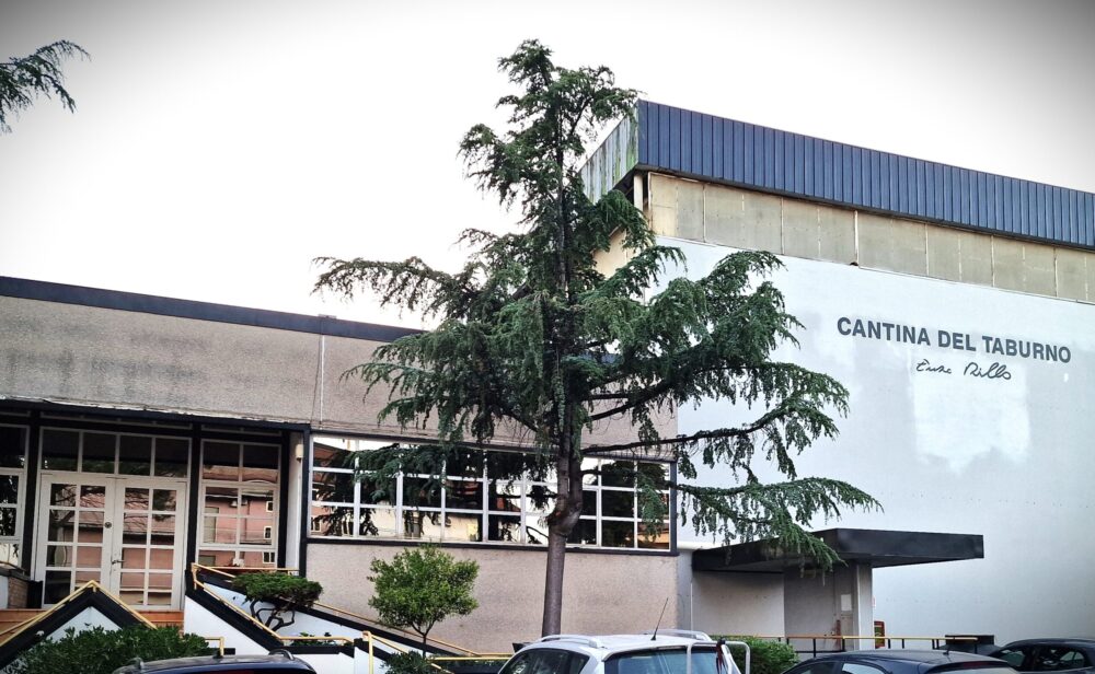 cantina del taburno - ingresso