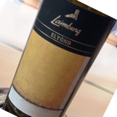 Elyond 2020 Gewürtztraminer Riserva Alto Adige AOC Cantina Laimburg