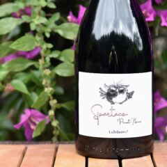 Friuli Pinot Nero Spartaco 2019 La Bellanotte