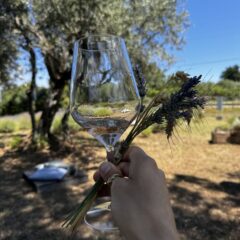 Tenuta Cavalier Pepe - Degustazione