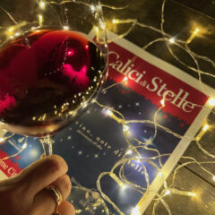 Calici di Stelle 2024