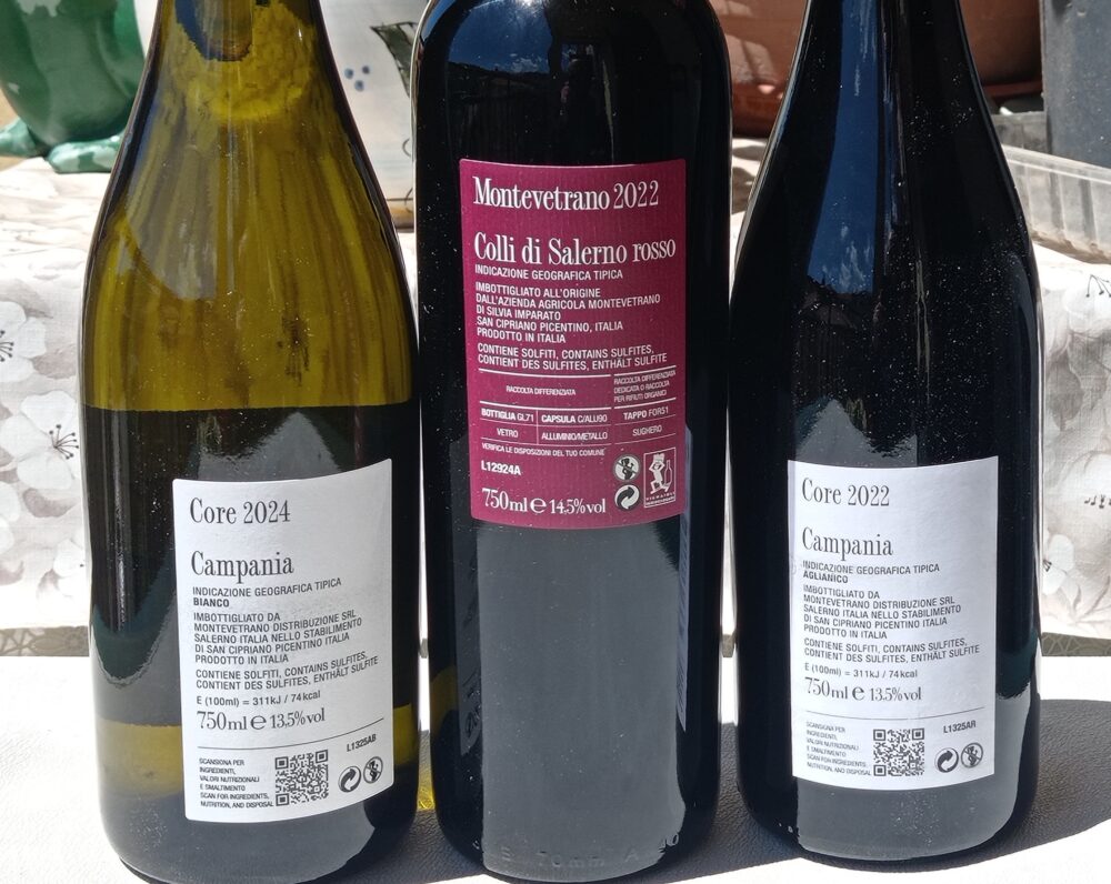 Controetihette vini Montevetrano