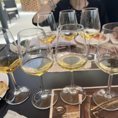 Montefalco - Trebbiano Spoletino