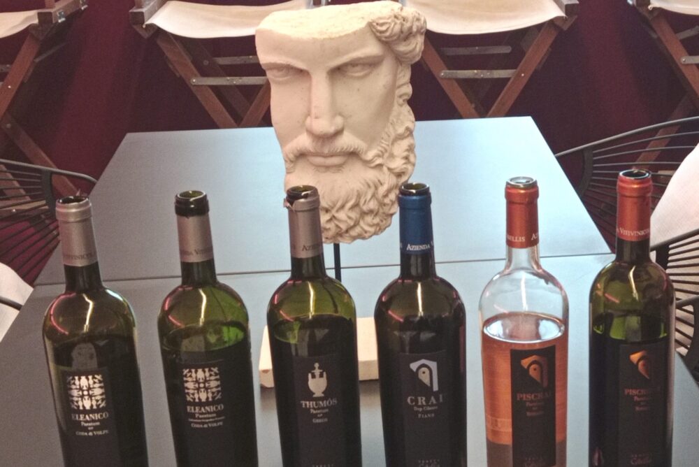 Vini Tenuta Cobellis