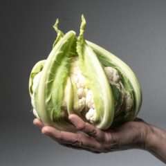 Cavolfiore della Piana del Sele