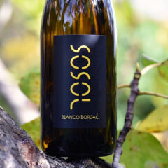Venezia Giulia Bianco IGP Borjač 2020 Sosol