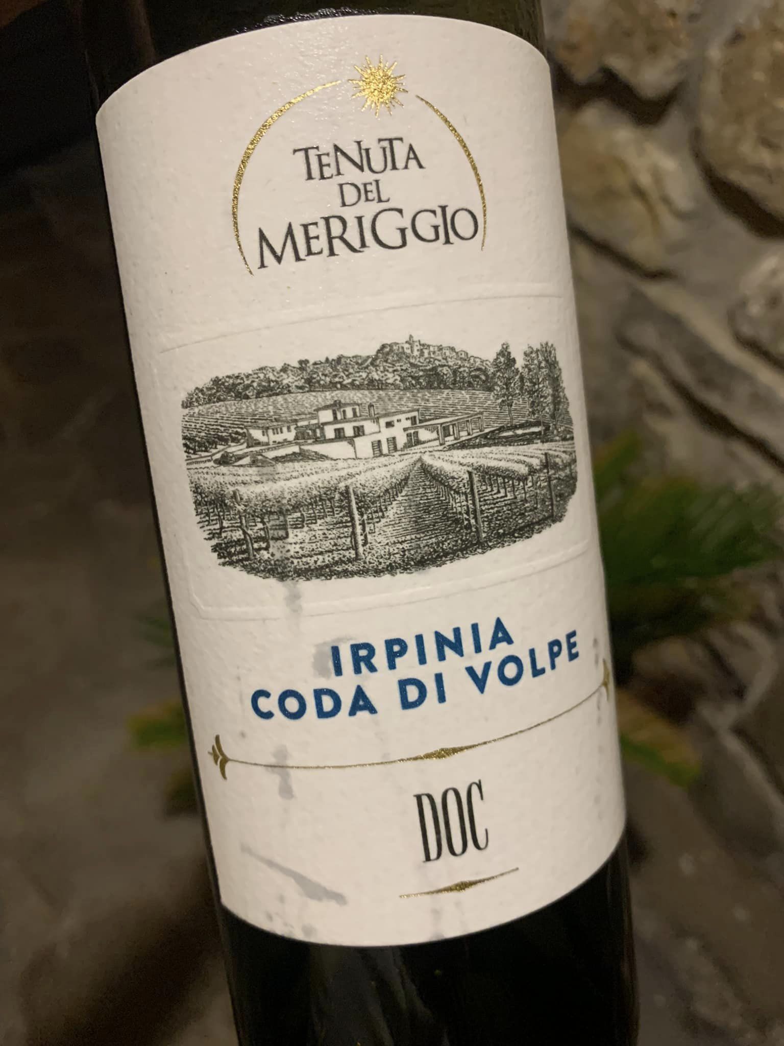 Coda Di Volpe 2022 Irpinia Doc Tenuta Del Meriggio