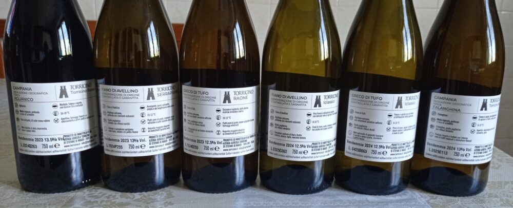 Controetichette vini Torricino