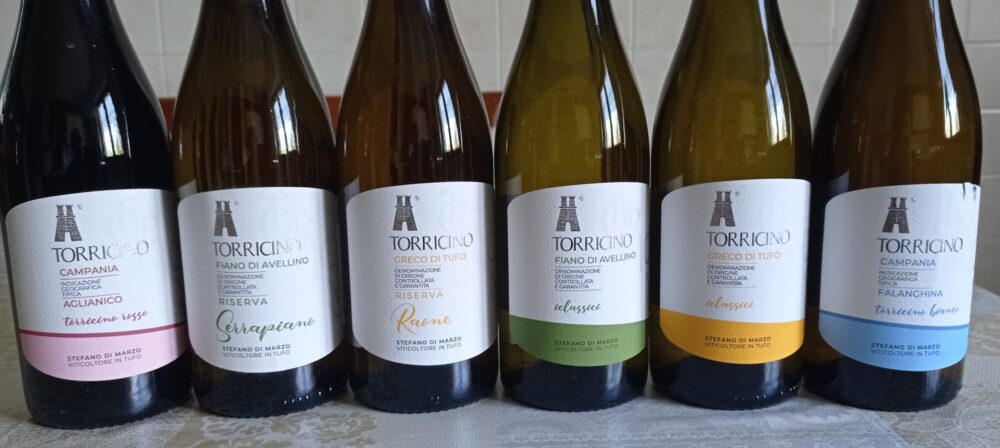 Vini Torricino