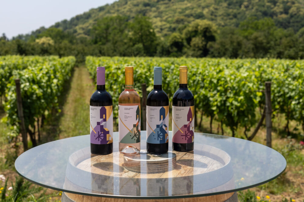 Azienda Guerritore, i vini dell'azienda