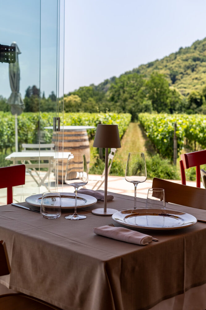 Azienda Guerritore, la sala esterna sulle vigne