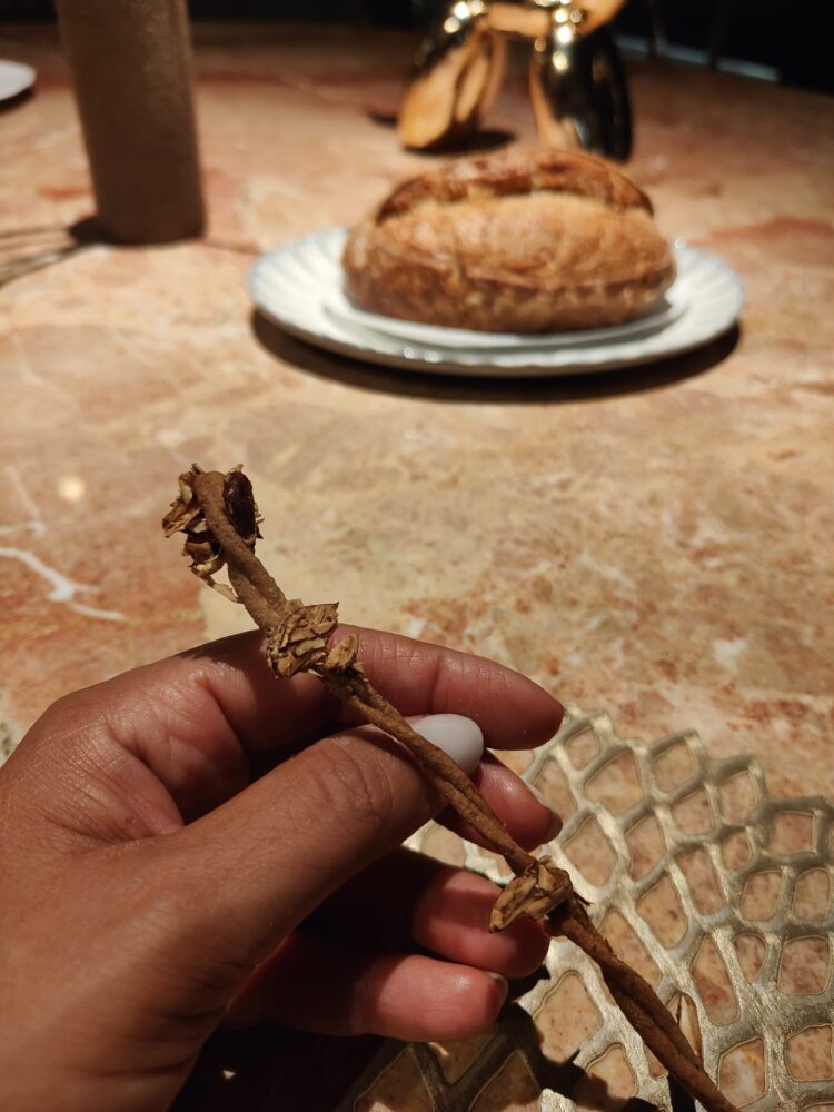 Ristorante Arbustico - Grissino